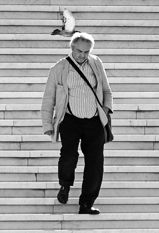 Clicca per l'immagine full size