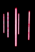 4644711549_147c77c2be_b.jpg