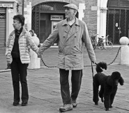 lucca_02.jpg