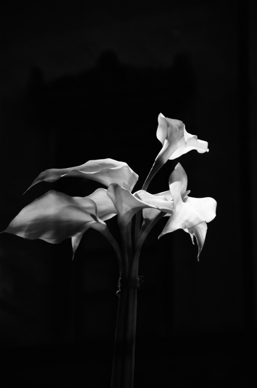 Clicca per l'immagine full size
