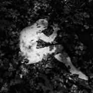 Nome File=Land__Art.jpg
Dimensione File=356KB
Dimensioni=680x680
Data aggiunta=Mag 24, 2013 Land__Art.jpg