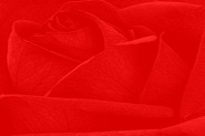 Nome File=ROSSO_W.jpg
Dimensione File=116KB
Dimensioni=640x426
Data aggiunta=Mar 16, 2011 ROSSO_W.jpg