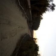 Nome File=we_need_to_dream.jpg
Dimensione File=327KB
Dimensioni=680x680
Data aggiunta=Set 14, 2013 we_need_to_dream.jpg