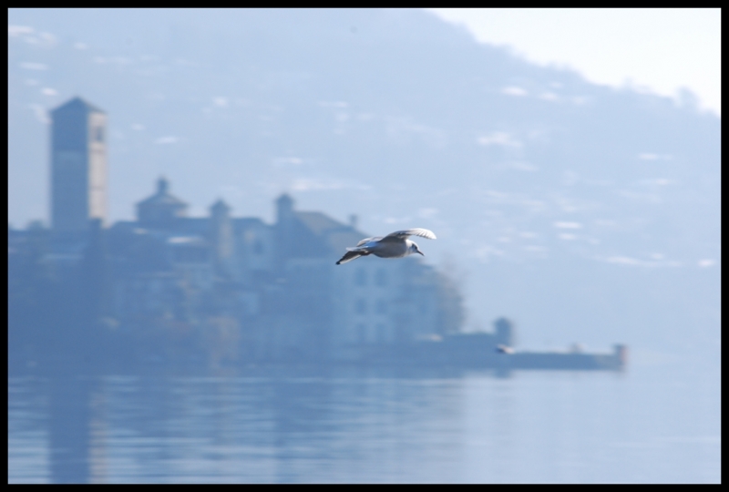Clicca per l'immagine full size