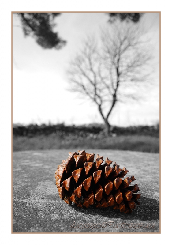 Clicca per l'immagine full size