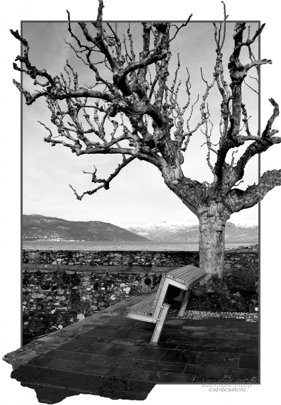 Clicca per l'immagine full size