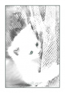 Nome File=Bianca.jpg
Dimensione File=133KB
Dimensioni=710x1000
Data aggiunta=Ott 06, 2010 Bianca.jpg
