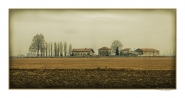 armonie_di_campagna.jpg armonie_di_campagna.jpg