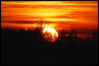 Nome File=fuoco+.jpg
Dimensione File=296KB
Dimensioni=920x622
Data aggiunta=Gen 15, 2009 fuoco+.jpg