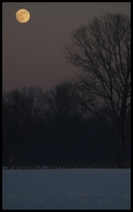 Nome File=luna+.jpg
Dimensione File=290KB
Dimensioni=576x920
Data aggiunta=Gen 12, 2009 luna+.jpg