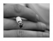 Nome File=smoke_and_ashes.jpg
Dimensione File=242KB
Dimensioni=1000x763
Data aggiunta=Giu 06, 2010 smoke_and_ashes.jpg
