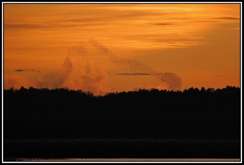 Clicca per l'immagine full size