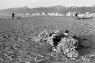 Nome File=HP5-12-09-1.jpg
Dimensione File=269KB
Dimensioni=750x500
Data aggiunta=Dic 13, 2009 HP5-12-09-1.jpg