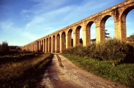 Nottolini_copy.jpg