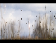 Nome File=Pittura.jpg
Dimensione File=267KB
Dimensioni=800x618
Data aggiunta=Dic 17, 2008 Pittura.jpg