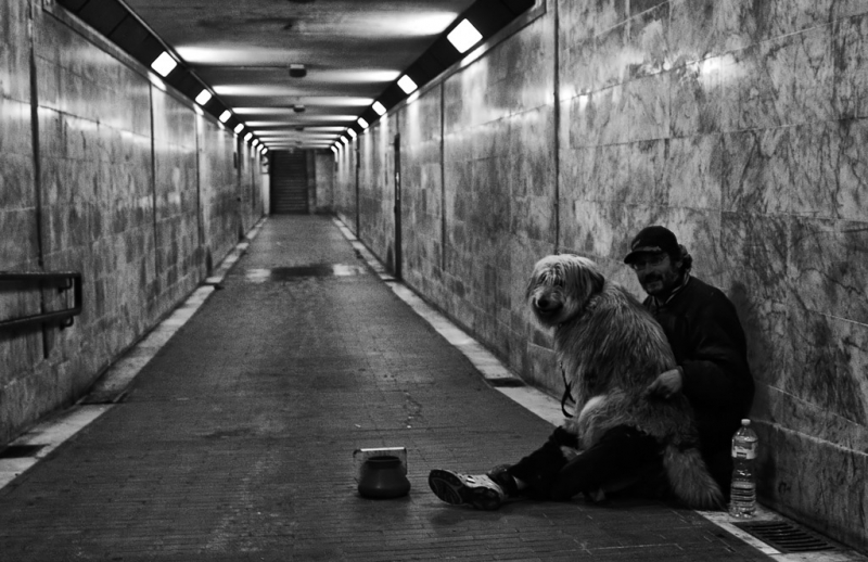 Clicca per l'immagine full size
