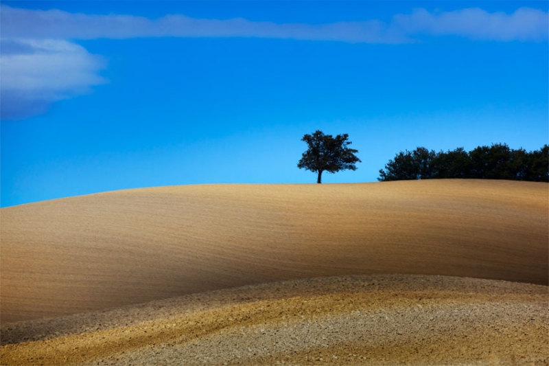 Clicca per l'immagine full size