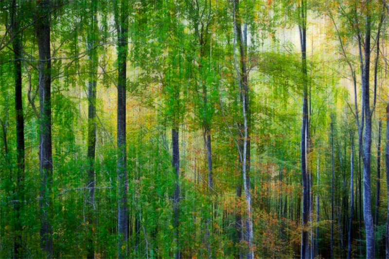 Clicca per l'immagine full size
