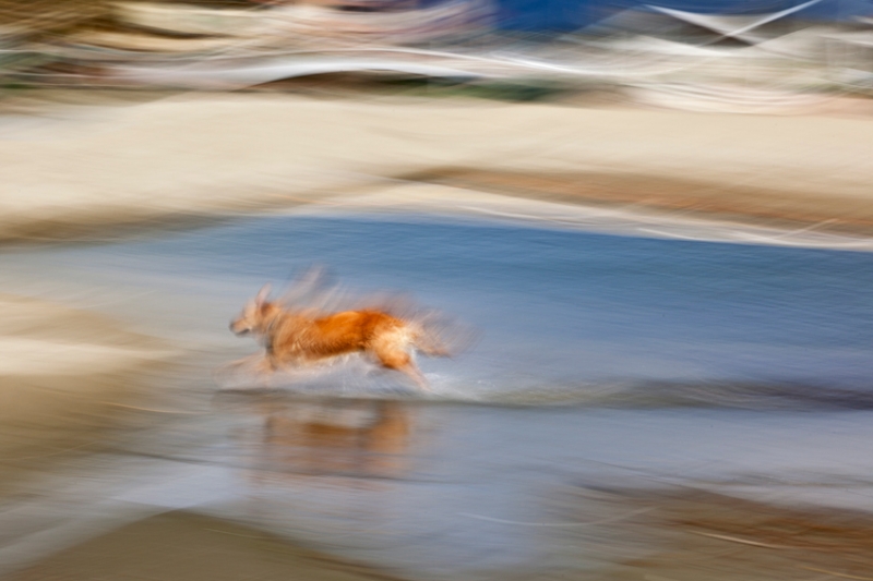 Clicca per l'immagine full size