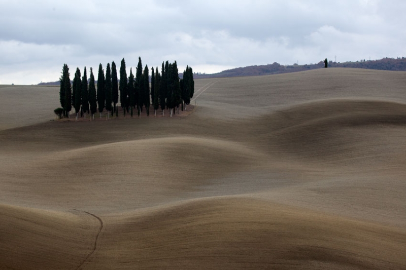 Clicca per l'immagine full size