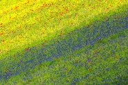 Nome File=O84A1375_1200.jpg
Dimensione File=408KB
Dimensioni=1200x800
Data aggiunta=Lug 28, 2015 O84A1375_1200.jpg