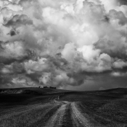 _84A7095_1200Orcia.jpg