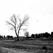 _MG_6118_700.jpg _MG_6118_700.jpg