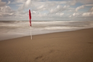 _MG_6790_850_sx.jpg