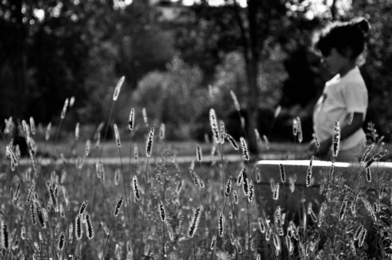 Clicca per l'immagine full size