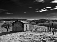 Nome File=2EB35997-771E-436E-AEDA-C4D3CDE19061.jpeg
Dimensione File=275KB
Dimensioni=1024x769
Data aggiunta=Gen 07, 2023 2EB35997-771E-436E-AEDA-C4D3CDE19061.jpeg
