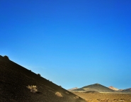 IMG_8280.jpeg