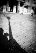 Shad02_www.jpg Shad02_www.jpg