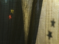Nome File=Stars.JPG
Dimensione File=288KB
Dimensioni=1024x768
Data aggiunta=Gen 16, 2009 Stars.JPG