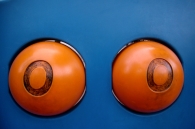 Nome File=Tits.JPG
Dimensione File=182KB
Dimensioni=1024x682
Data aggiunta=Mar 18, 2009 Tits.JPG