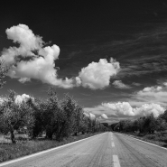 Nome File=_La_Maremma_sqr_web.jpg
Dimensione File=589KB
Dimensioni=900x900
Data aggiunta=Set 10, 2014 _La_Maremma_sqr_web.jpg