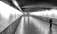 Nome File=__Underground03_bw_web.jpg
Dimensione File=464KB
Dimensioni=1024x620
Data aggiunta=Dic 05, 2012 __Underground03_bw_web.jpg