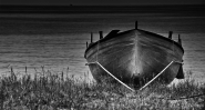 Nome File=___Palizzi_web.jpg
Dimensione File=378KB
Dimensioni=1024x549
Data aggiunta=Dic 19, 2011 ___Palizzi_web.jpg