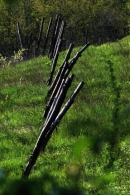 linea_mag.JPG