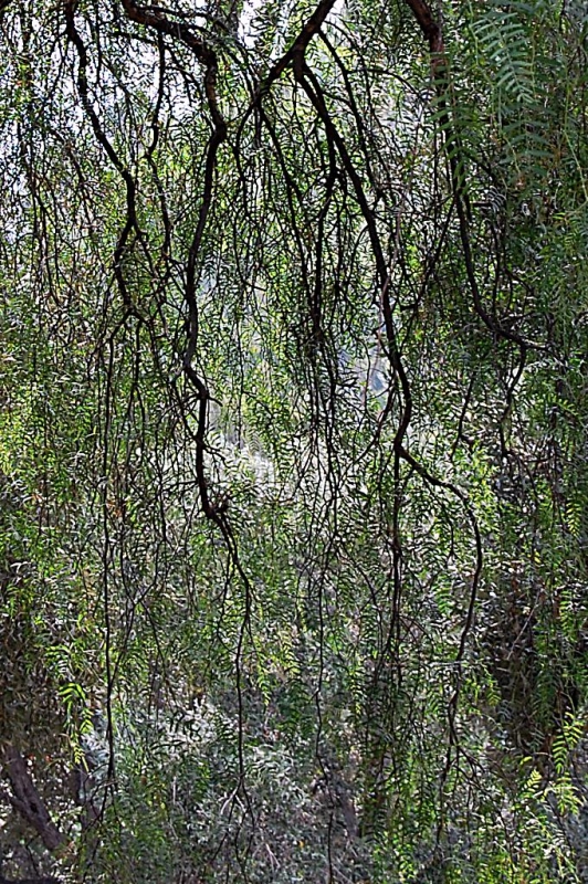 Clicca per l'immagine full size