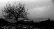 Nome File=landscape.jpg
Dimensione File=337KB
Dimensioni=800x443
Data aggiunta=Mar 01, 2010 landscape.jpg