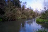 DSCF0001~2.jpg