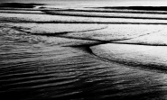 L1000002~0.jpg L1000002~0.jpg