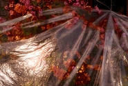 L1000005~4.jpg