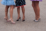 L1000017~8.jpg L1000017~8.jpg
