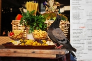 Filename=RM-Piccione-Menu.JPG
Filesize=344KB
Dimensions=900x602
Date added=Sep 03, 2009 RM-Piccione-Menu.JPG