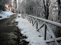 Nome File=leopardi_neve.JPG
Dimensione File=390KB
Dimensioni=1024x768
Data aggiunta=Gen 12, 2009 leopardi_neve.JPG