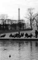 Nome File=tuileries_web.jpg
Dimensione File=223KB
Dimensioni=512x800
Data aggiunta=Gen 14, 2009 tuileries_web.jpg