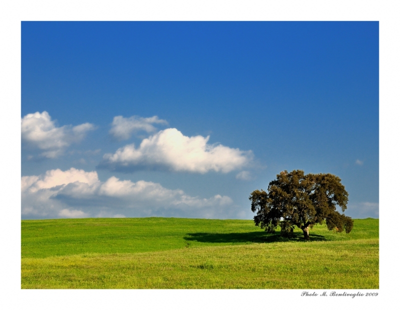 Clicca per l'immagine full size