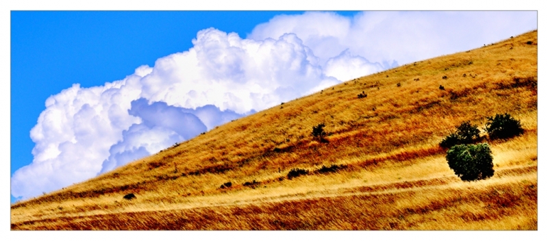 Clicca per l'immagine full size