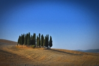 Nome File=cipressi.jpg
Dimensione File=388KB
Dimensioni=1024x680
Data aggiunta=Nov 10, 2009 cipressi.jpg